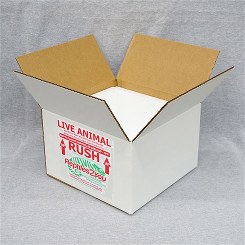 Insulated Reptile Shipping Box (11x11x7)