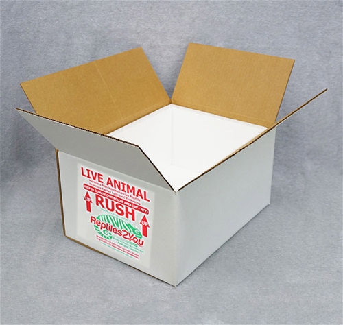 Insulated Reptile Shipping Box (16x12x8)