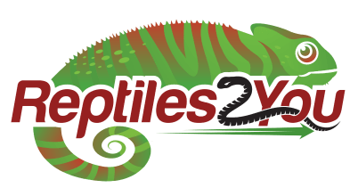 Reptiles2You